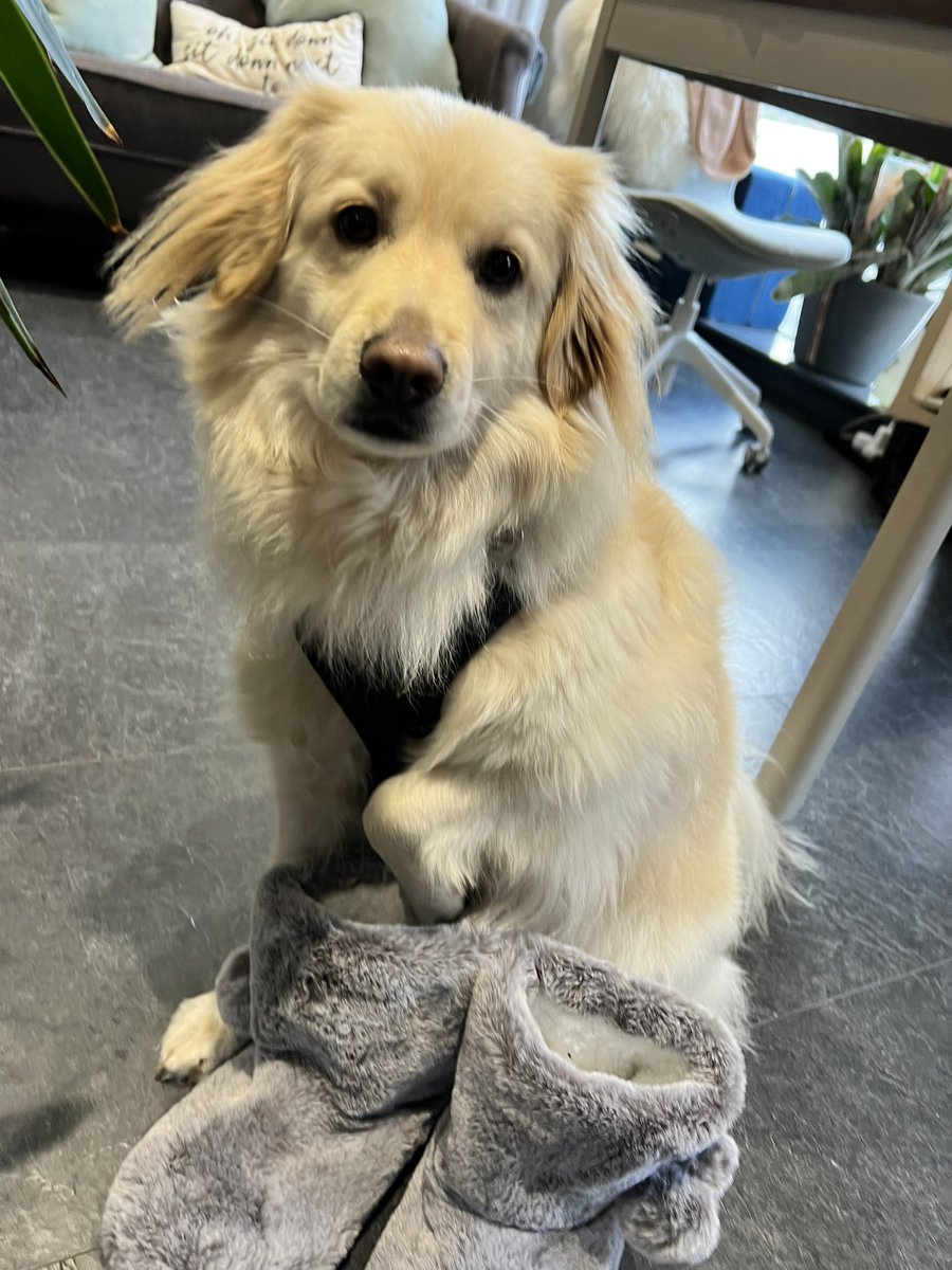 Coworking Corner Matlock tweet media