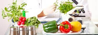 AppliedscienceJ's tweet photo. The future of Food and food science.
Applied Food Science Journal
https://t.co/kc9j2Io63m
Submit Your Manuscript here-https://t.co/GbFJubqBqh
#foodforlife #foodbalance #foodsafety https://t.co/PhFrLEP5cK