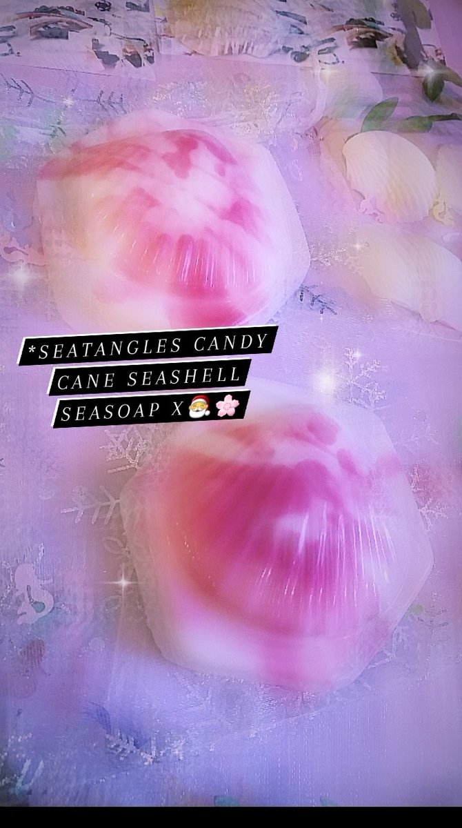 seatangles_'s tweet photo. candy cane seashells❤♡
X  #seatangles 

https://t.co/jqpA7pgTdh https://t.co/BmOP4AUYXt