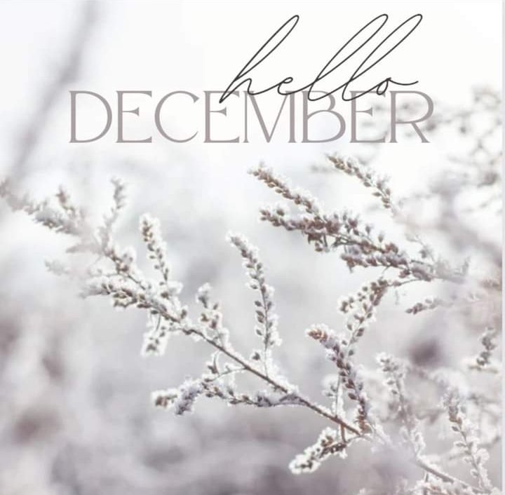 Hello December🎄 Are you ready for the festive season 🎅 🎁 🎉 #Wellbeing #holistichealth #reflexology #reflexologist #holistictherapist #massagetherapist #HealthAndWellness #Elland #halifaxwestyorkshire