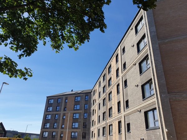 Robert Potter & Ptns tweet media