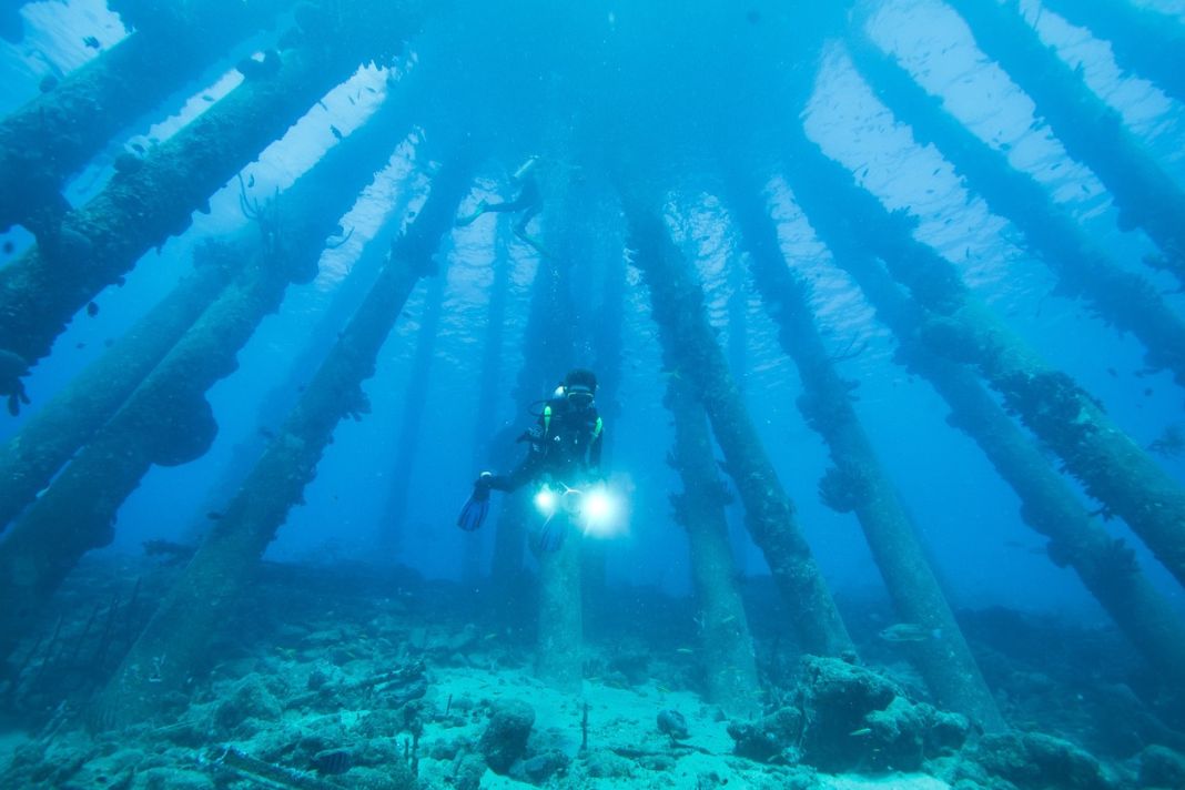 WA’s marine industries to discuss how going blue will improve the health of the economy – and ocean 

startupnews.com.au/2022/12/01/was…