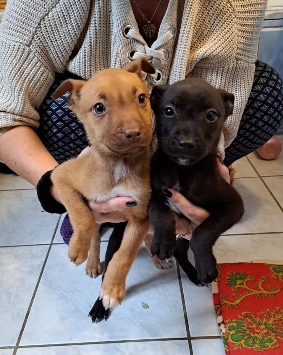 Julien Courbet tweet media