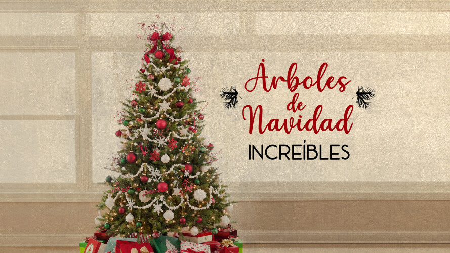 lamaslista_'s tweet image. L19 🎄 Árboles de Navidad Increíbles
M20 👖 Total Denim: la historia de los vaqueros
J22 🎅 La verdadera historia de Papá Noel
#DocusEn0