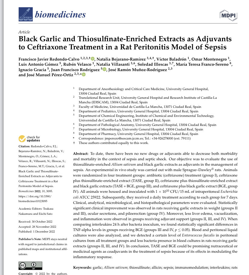 Tras el modelo experimental de sepsis peritoneal, valoramos la capacidad coadyuvante de los tiosulfinatos del ajo morado. Ahora mostramos el efecto de combinar ajo negro+antibiótico en infecciones bacterianas. En acceso abierto.
<a href="/idiscam/">IDISCAM</a> <a href="/SanidadCR/">Sanidad Ciudad Real</a> 
mdpi.com/2227-9059/10/1…