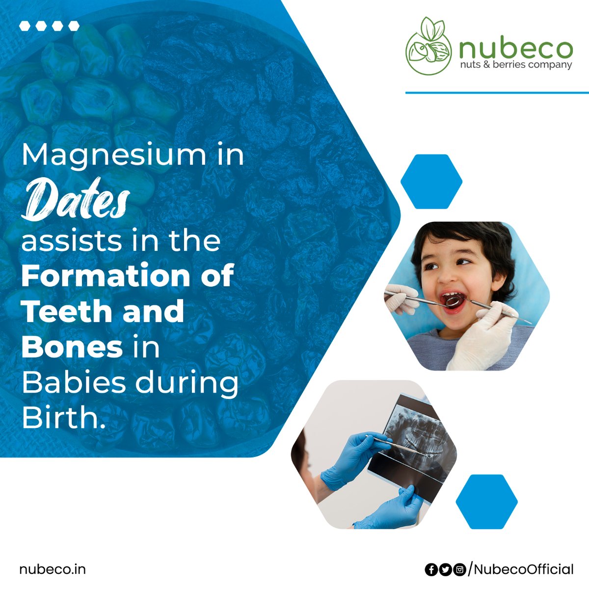 NubecoOfficial's tweet photo. #Dates have many health benefits that make them great food supplements for people of all ages.
#nubeco brings the tastiest and best-in-class #Dryfruits for you.
#PremiumDryfruits #Mazafatidates #Organicdates #khajoor #dryfruitsonline #Nutritiousfood #Vegan #Healthysnack https://t.co/mwCNyMnpYb