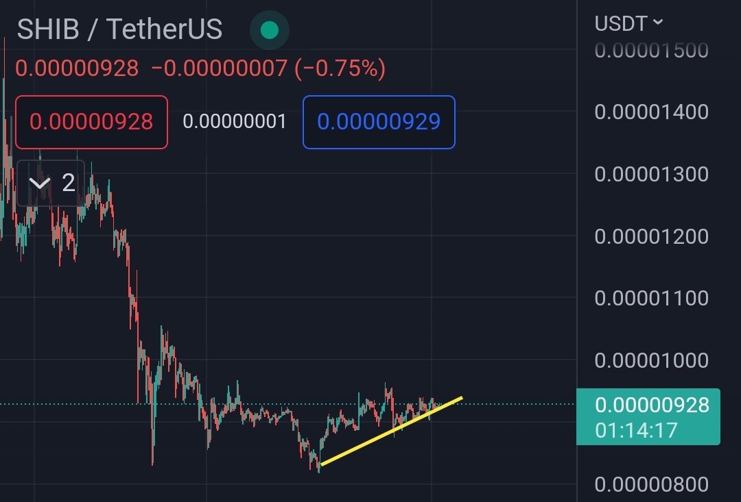 $SHIB KNIGHT tweet media