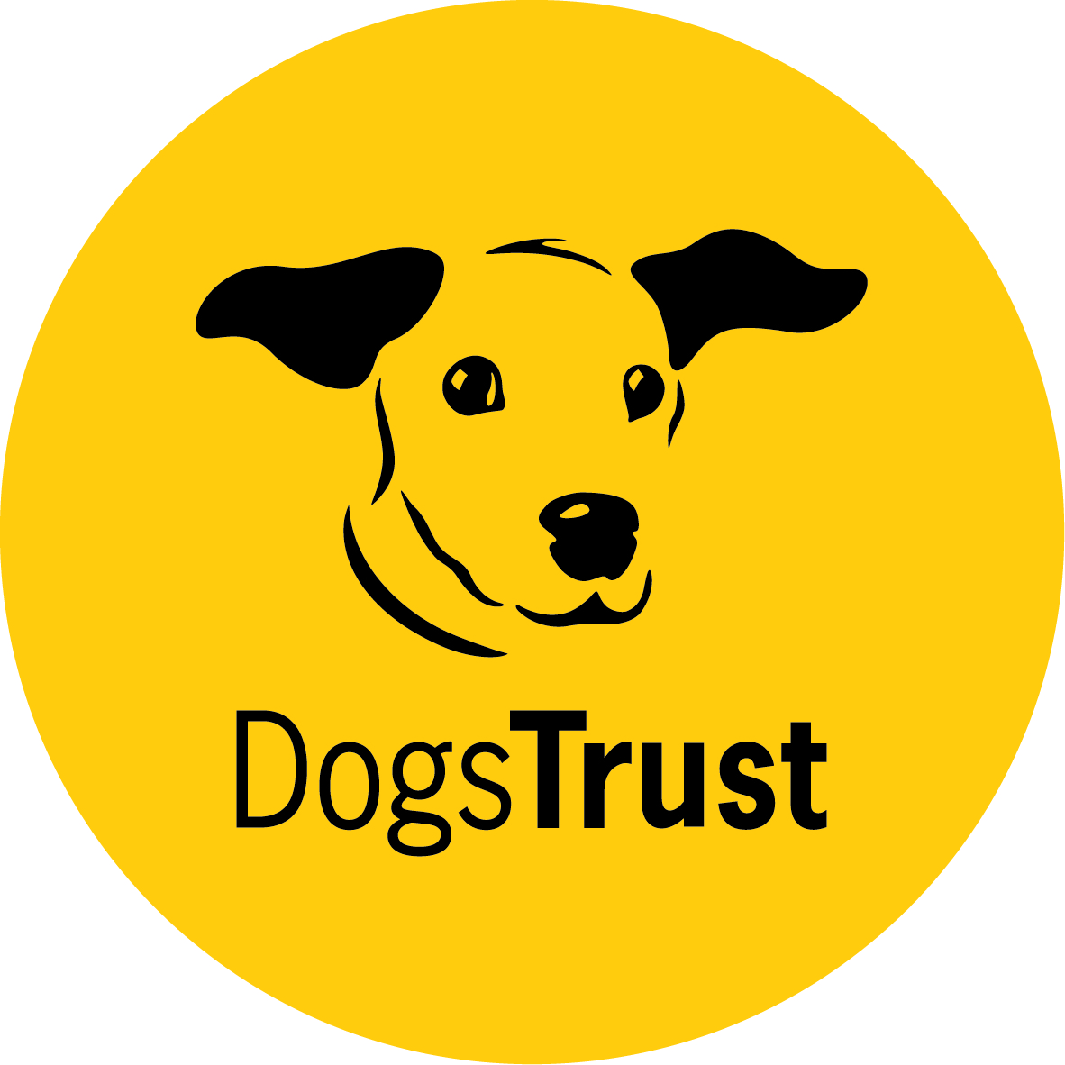 Kurstin Finch Gnehm (@kfinchgnehm) on Twitter photo You: A fantastic special events specialist who loves dogs and is looking for a new challenge.
Me: I'm looking for a special events officer to join my incredible team and help us run fantastic high-value events! <a href="/DogsTrust/">Dogs Trust 💛🐶</a> <a href="/DT_VIPsuppawt/">Dogs Trust VIP Team 💛🐶</a> #hiring
lnkd.in/etAr_Tjg You: A fantastic special events specialist who loves dogs and is looking for a new challenge.
Me: I'm looking for a special events officer to join my incredible team and help us run fantastic high-value events! <a href="/DogsTrust/">Dogs Trust 💛🐶</a> <a href="/DT_VIPsuppawt/">Dogs Trust VIP Team 💛🐶</a> #hiring
lnkd.in/etAr_Tjg