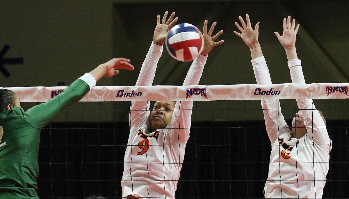GPACSports's tweet photo. Day One in Photos from the @NAIA Volleyball Championship! 

📸 credit to Tim Tushla from Sioux City, Iowa - Offiical Photographer for the NAIA WVB Tournament. https://t.co/N8JXXXtVZb