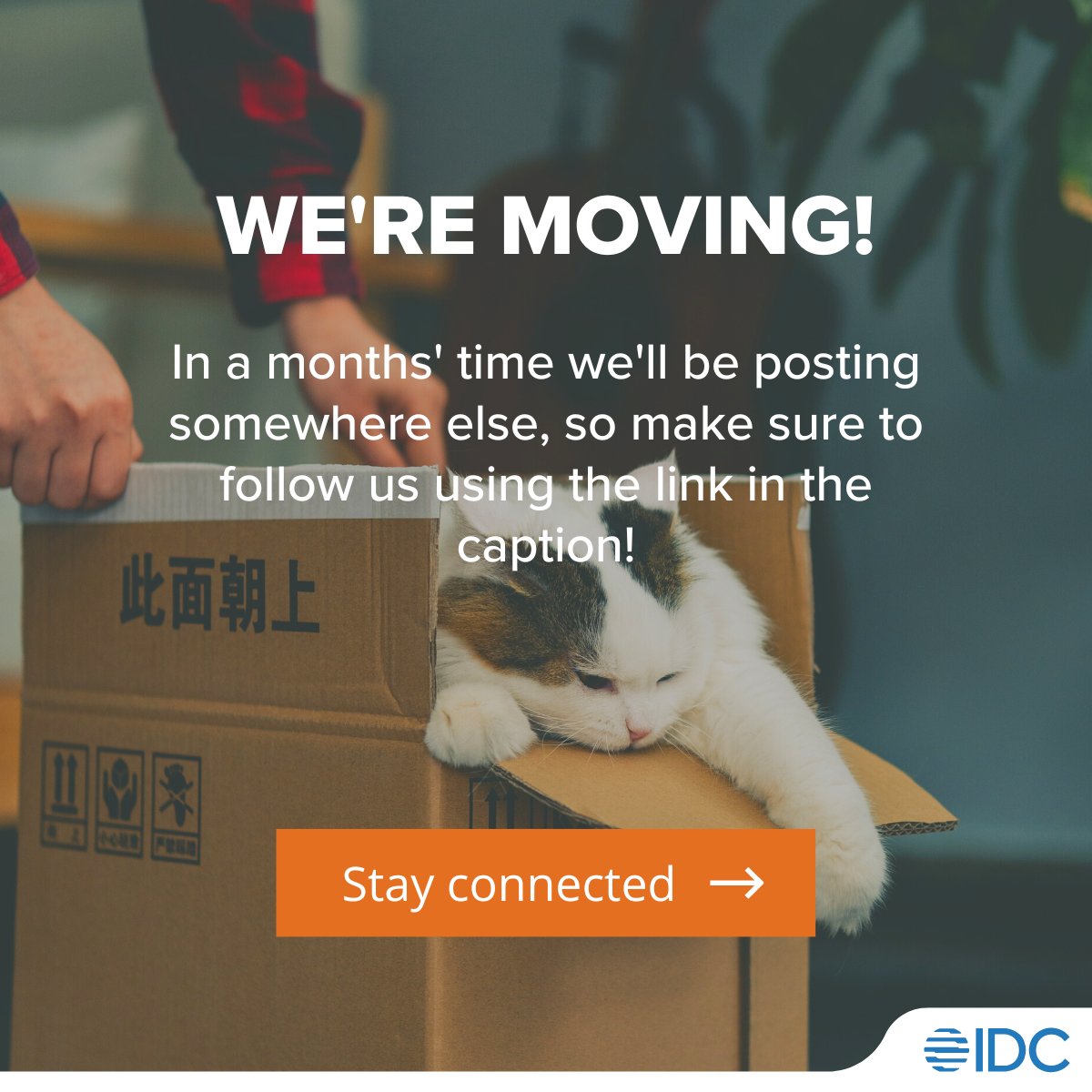 1 month to go before our official move!

Starting next year, we’ll be posting our updates on a new but still familiar page. So make sure to follow us over at @idcap and <a href="/idcapevents/">IDC Asia Pac Events</a>