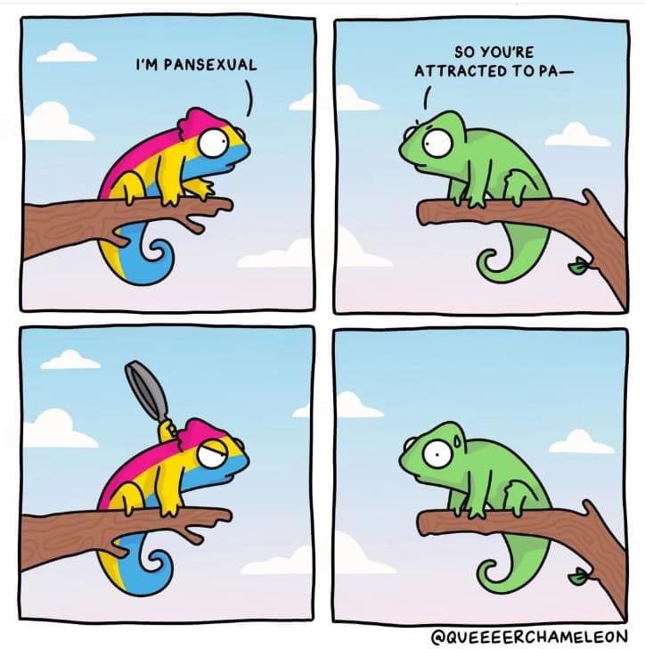 theeiconicgeek's tweet photo. #everytime #pansexualproblems π https://t.co/u2ZjXolqbF