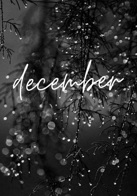 beck_1219's tweet photo. Hello December #dayoneoroneday #itsthemostwonderfultimeoftheyear https://t.co/d4TSjP7axo