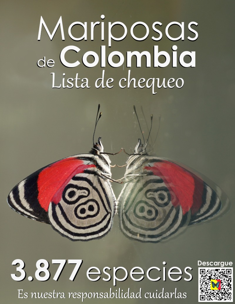 Somos oficialmente el país con más especies de mariposas en el mundo. Nueva lista de chequeo actualizada con 3877 especies, disponible para descargar.

butterflycatalogs.com/colombia.html

Gracias a Juan Guillermo Jaramillo por este trabajo tan increíble.