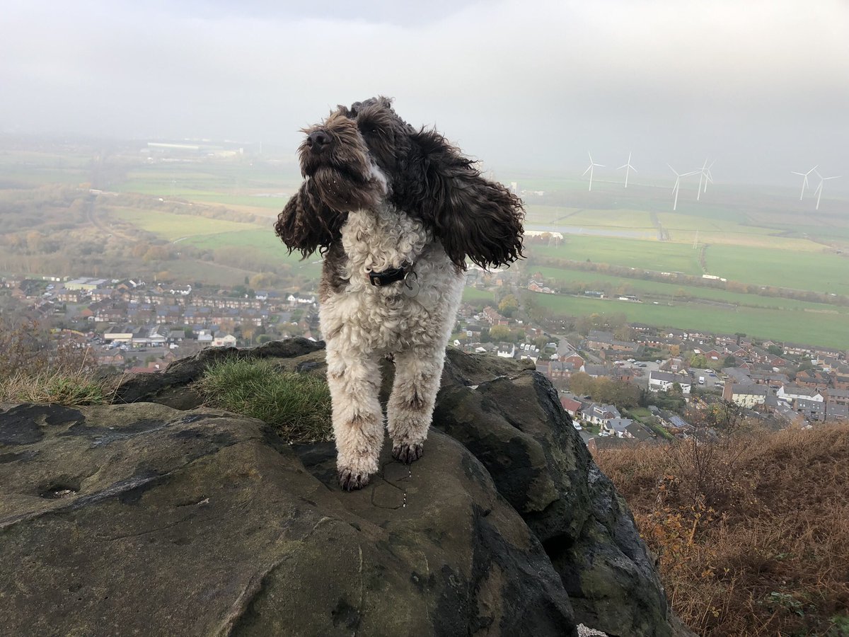 Aaaand breathe!! #aniadventures