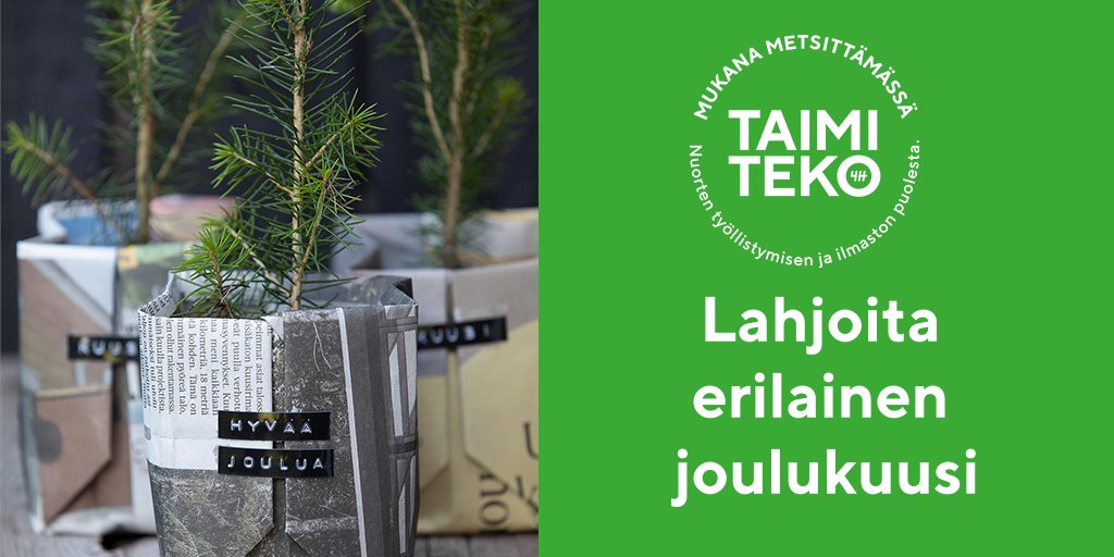 Lahjoita Taimiteon joulukeräykseen! Miltä kuulostaisi, jos tänä vuonna laittaisitkin joulukuusirahasi ensi kesänä istutettaviin kuusen ja männyn taimiin? 🌲 Uuden hiilinielun istuttajina työskentelevät suomalaiset nuoret. 💚 Lahjoita: taimiteko.fi/taimiteko-yksi… #Taimiteko #4hSuomi