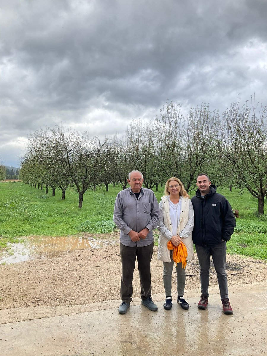 CITAAragon's tweet photo. 👩‍🔬 @mariajodem , investigadora del Departamento de Ciencia vegetal del CITA, nos envía estas fotografías de la visita a bancos de germoplasma de #almendro en #Mallorca 📌

📸🌳📸🌳 https://t.co/NCCAPhdYWw