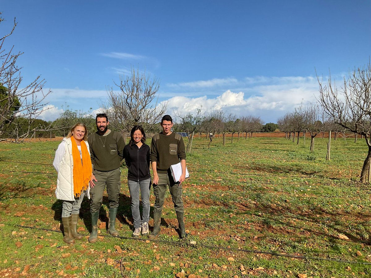 CITAAragon's tweet photo. 👩‍🔬 @mariajodem , investigadora del Departamento de Ciencia vegetal del CITA, nos envía estas fotografías de la visita a bancos de germoplasma de #almendro en #Mallorca 📌

📸🌳📸🌳 https://t.co/NCCAPhdYWw
