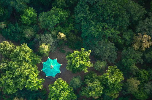 DeliveryAsc's tweet photo. Delivery Associates has announced today a new strategic partnership with @TrillImpact. 

Read more here➡️ https://t.co/NFjYfv1Mlz https://t.co/6NKNtXEzVe
