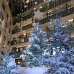 ツイートに含まれる画像