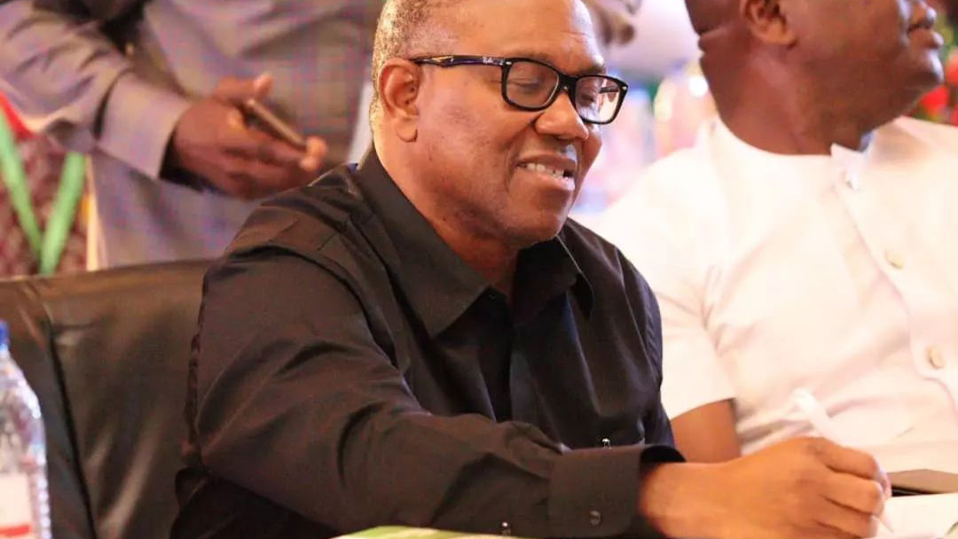 In your heart, you know <a href="/PeterObi/">Peter Obi</a> is the future of Nigeria. #PeterObiForPresident