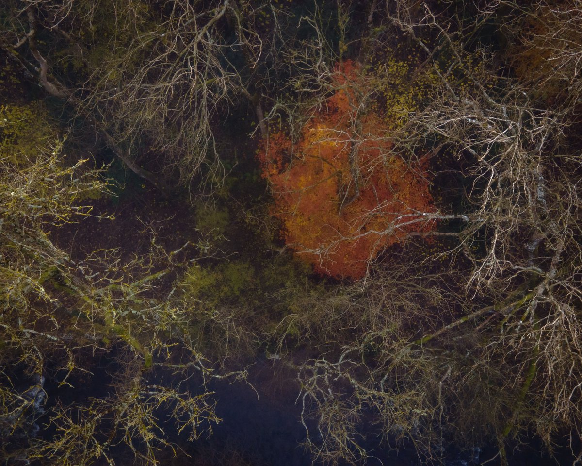 Perhaps one of my favourite Autumn photographs in the #breconbeacons this year.