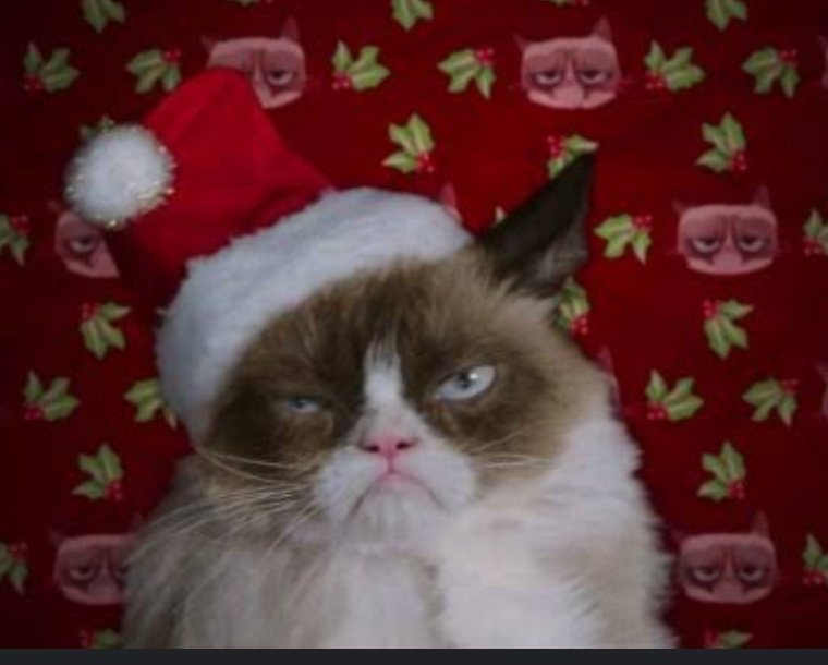 Mi única motivación para seguir viva es que ya mero me voy a Chihuahua.