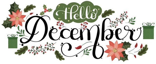 Iniciamos el mes de la unión, paz, reflexión y amor. Alimentemos nuestra alma con momentos mágicos. Feliz y bendecido diciembre para todos ♥️
#Diciembre2022
#MesDeNavidad