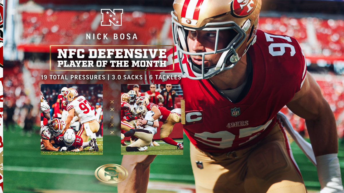 A November to remembear 🐻