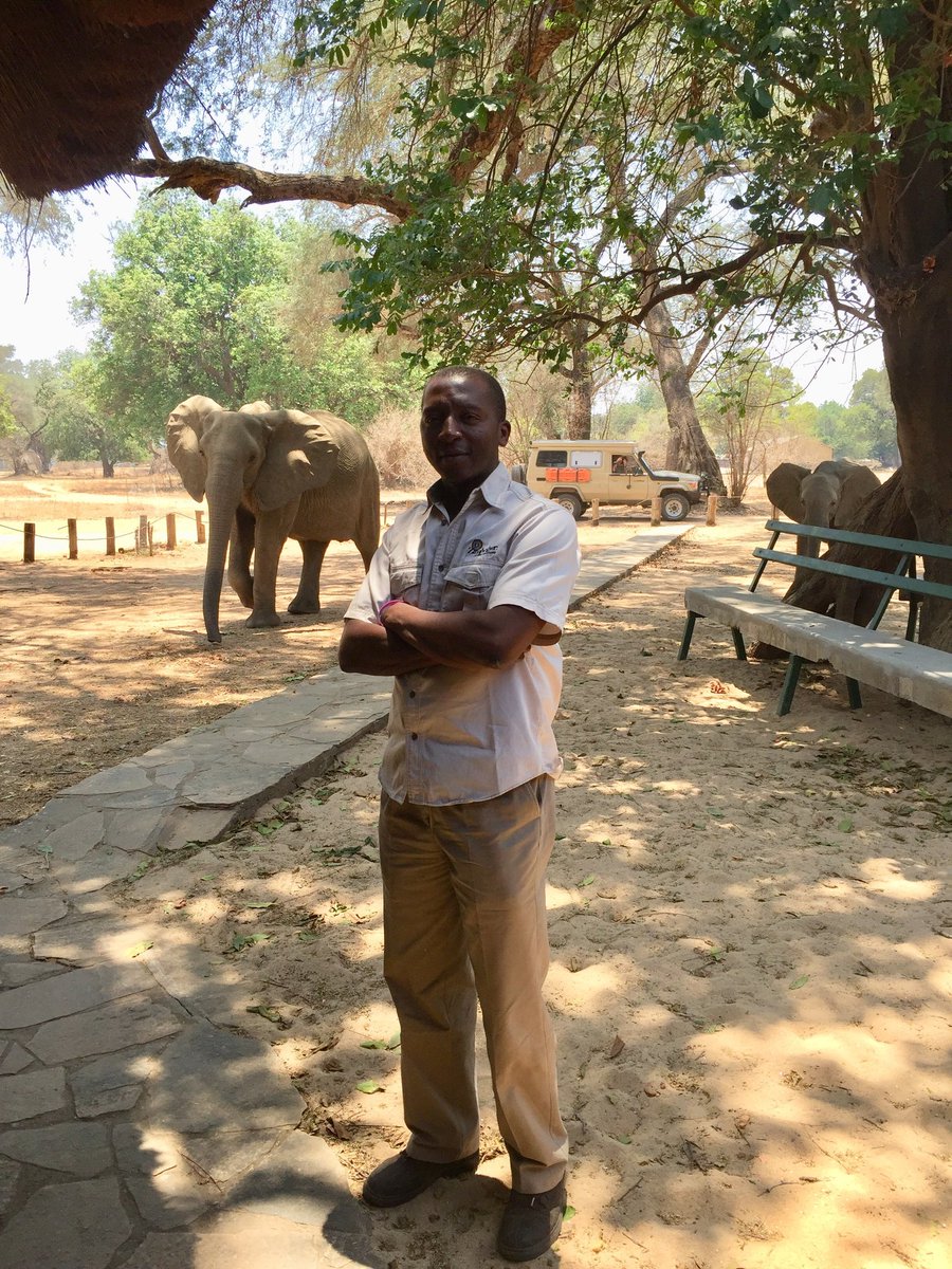 libbsnyaguse's tweet photo. This is Mana Pools National Park. The only mational park of it's kind in Africa. The mischievous guy behind me is truly wild,and beautiful. One place in Zimbabwe you absolutely have to visit before you die.
#GodLovesZimbabwe https://t.co/7dNFhAzJtU