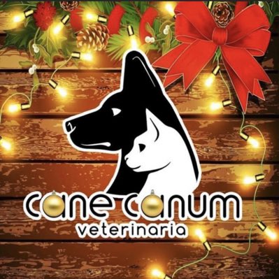 canecanum's tweet photo. #NuevaFotoDePerfil https://t.co/1jsu4VzfUz