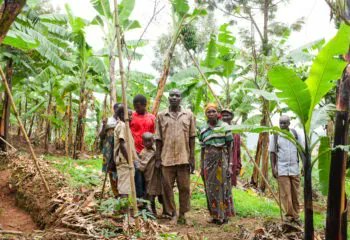 In #Burundi, 90% of the estimated 10 million people depend on subsistence #agriculture. However, Sustainable management of #SoilFertility is the key challenge for #farmers to optimize a sustainable yield. 

Learn how #PAGRIS is tackling this issue: ifdc.org/projects/soil-…