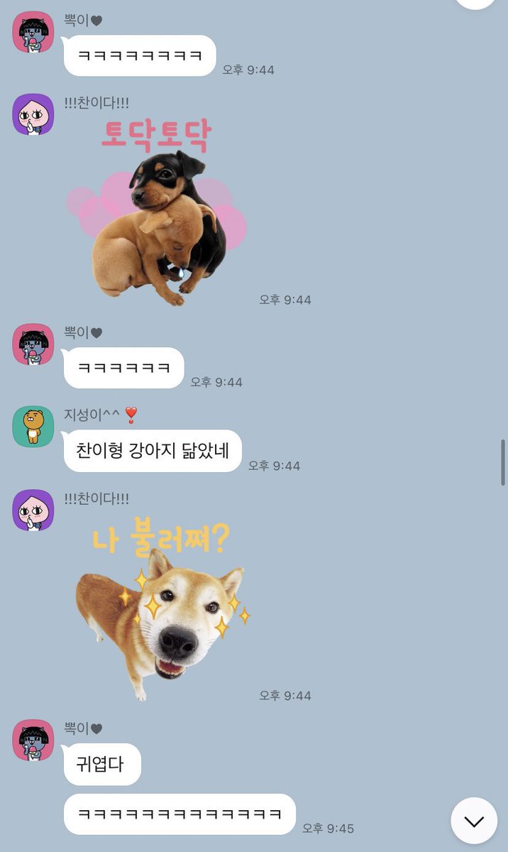 SEUNGM1NE's tweet photo. chan kept sending the dog stickers while jisung &amp; yongbok were talking about how we hv to look forward for the end year etc, then when they realised,
🐿 Spamming is not allowed
🐣what
🐺*sent sticker with Sorry written*

😂😂😂😂😂😂😂😂 https://t.co/WjyHA9166c