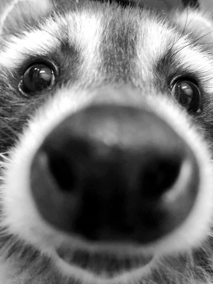 ⠀⠀⠀ ͏͏͏͏͏͏

 ͏͏͏͏͏͏ ͏͏͏͏͏͏

dinner with rooki.