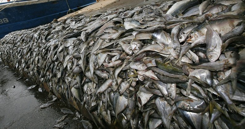 GiocoGioconda's tweet image. Ya le llegó la pensión alimenticia a Loly