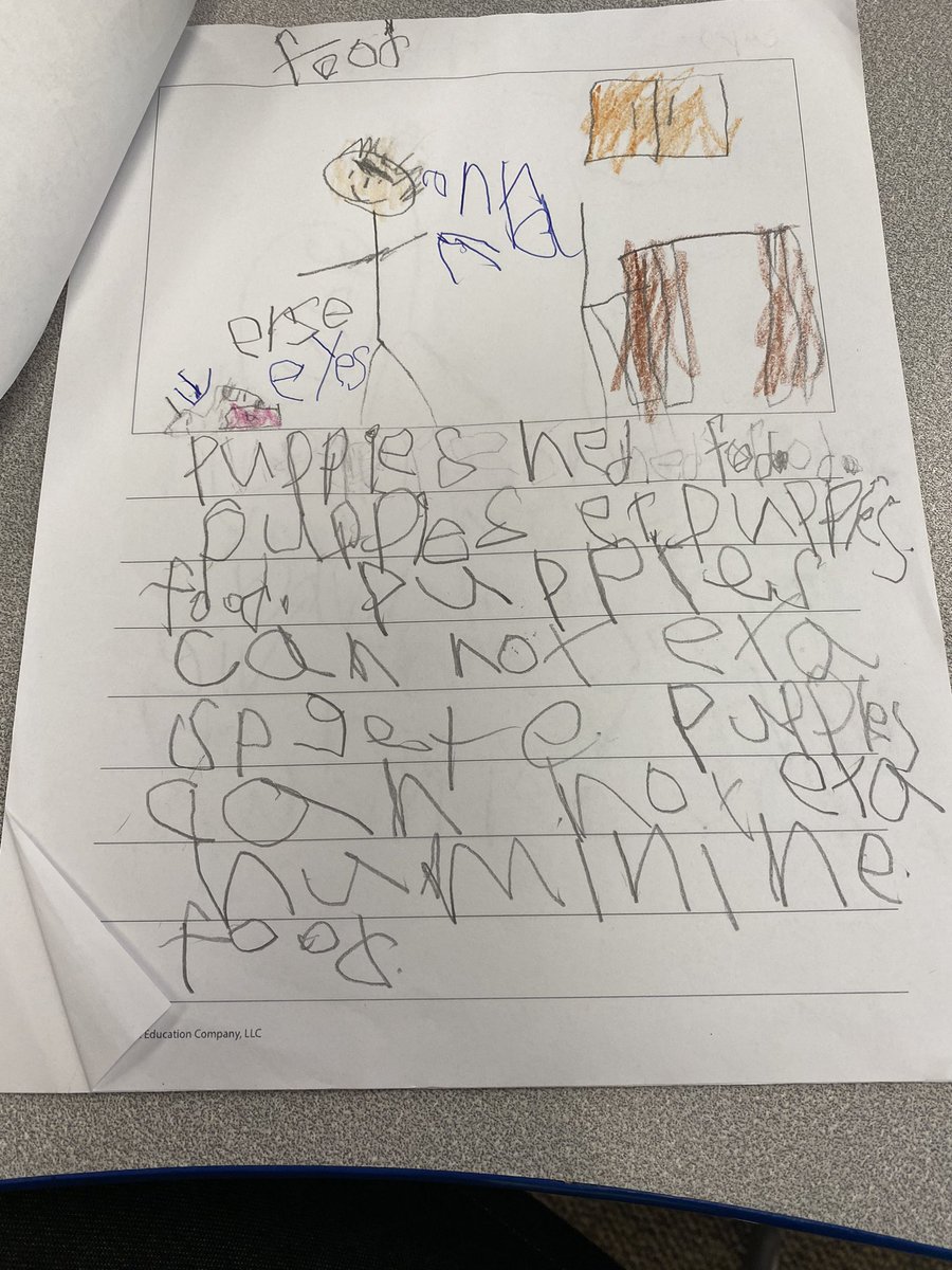 Finishing up our books that teach. Puppies cannot eat spaghetti. Pro tip! #sdwwrites <a href="/HShedgehogs/">Hadfield School</a>