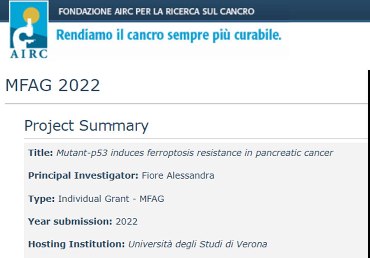 aleflow3r's tweet photo. 📣Beyond excited to share that my #MFGA has been funded. For the  next 5 years we'll be working on understanding the role of mutant p53 in regulating ferroptosis in #PancreaticCancer📣#myfirstgrant #Airc Thanks to @AIRC_it and  @UniVerona https://t.co/S8A3hJ3YmU