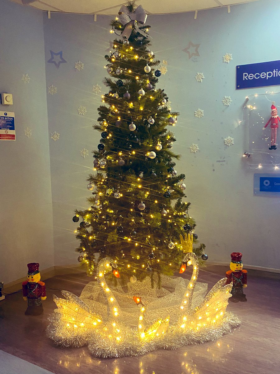 grant_ht's tweet photo. A HUGE thank you to our special helpers who put up our Haghill Park Primary School and Nursery Class Christmas tree today. 💙😊🎄

It’s looks beautiful….. Christmas has arrived in our school and nursery. 🎄💙🎄💙😊

🦢💙🦢 @ElccPark @HaghillTeam https://t.co/Anuiueu9L8