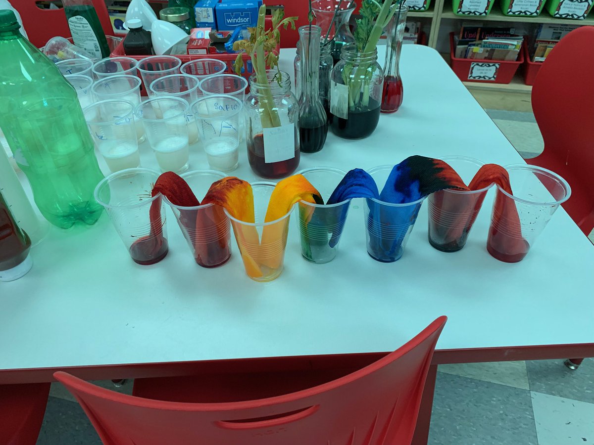 dewit2014's tweet photo. What is happening here? Gr2 science. #arps2022 https://t.co/vf9USMXMBc