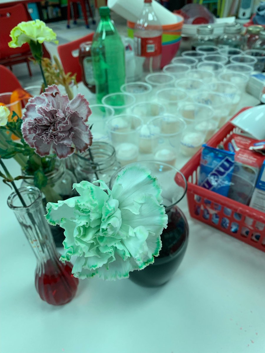 dewit2014's tweet photo. What is happening here? Gr2 science. #arps2022 https://t.co/vf9USMXMBc
