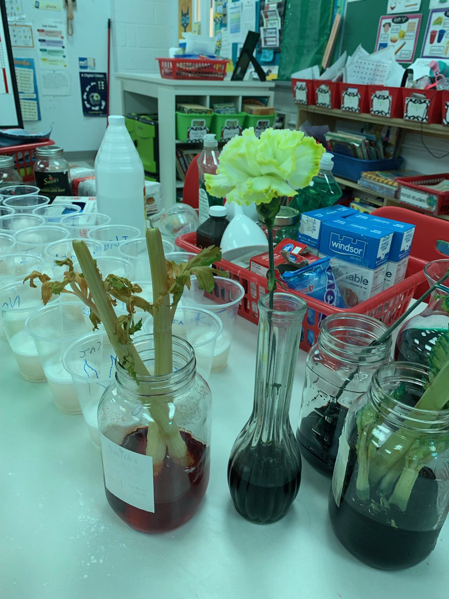 dewit2014's tweet photo. What is happening here? Gr2 science. #arps2022 https://t.co/vf9USMXMBc
