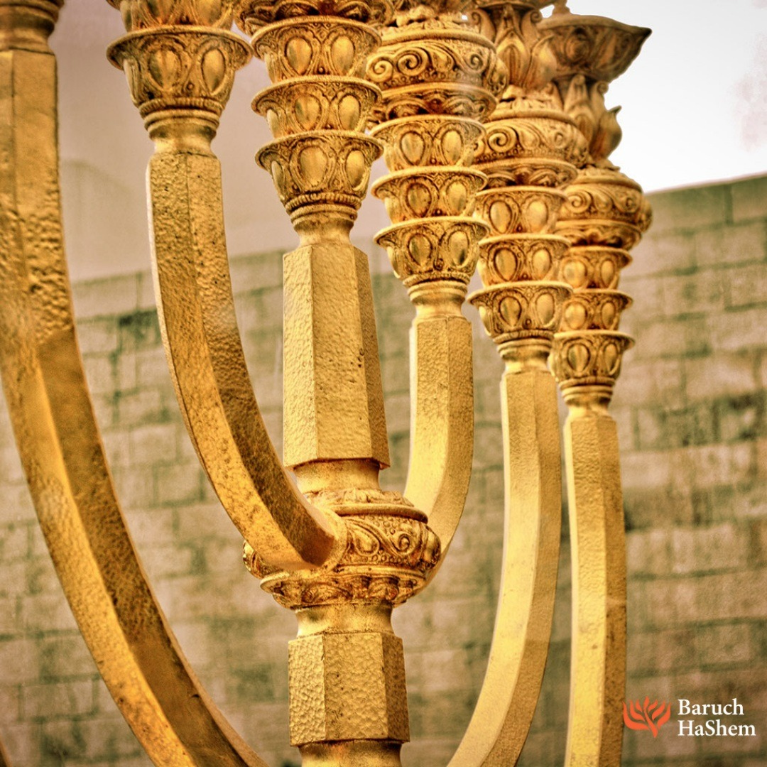 Baruch_HaShem's tweet photo. Now this is how the menorah was made: hammered gold from its base to its blossoms. Just as was the pattern that Adonai had shown to Moses, so he made the menorah. Numbers 8:4 TLV
 
#Dedication #Numbers7 #BHSDallas #Hanukkah2022 https://t.co/8vkrHOOhRG
