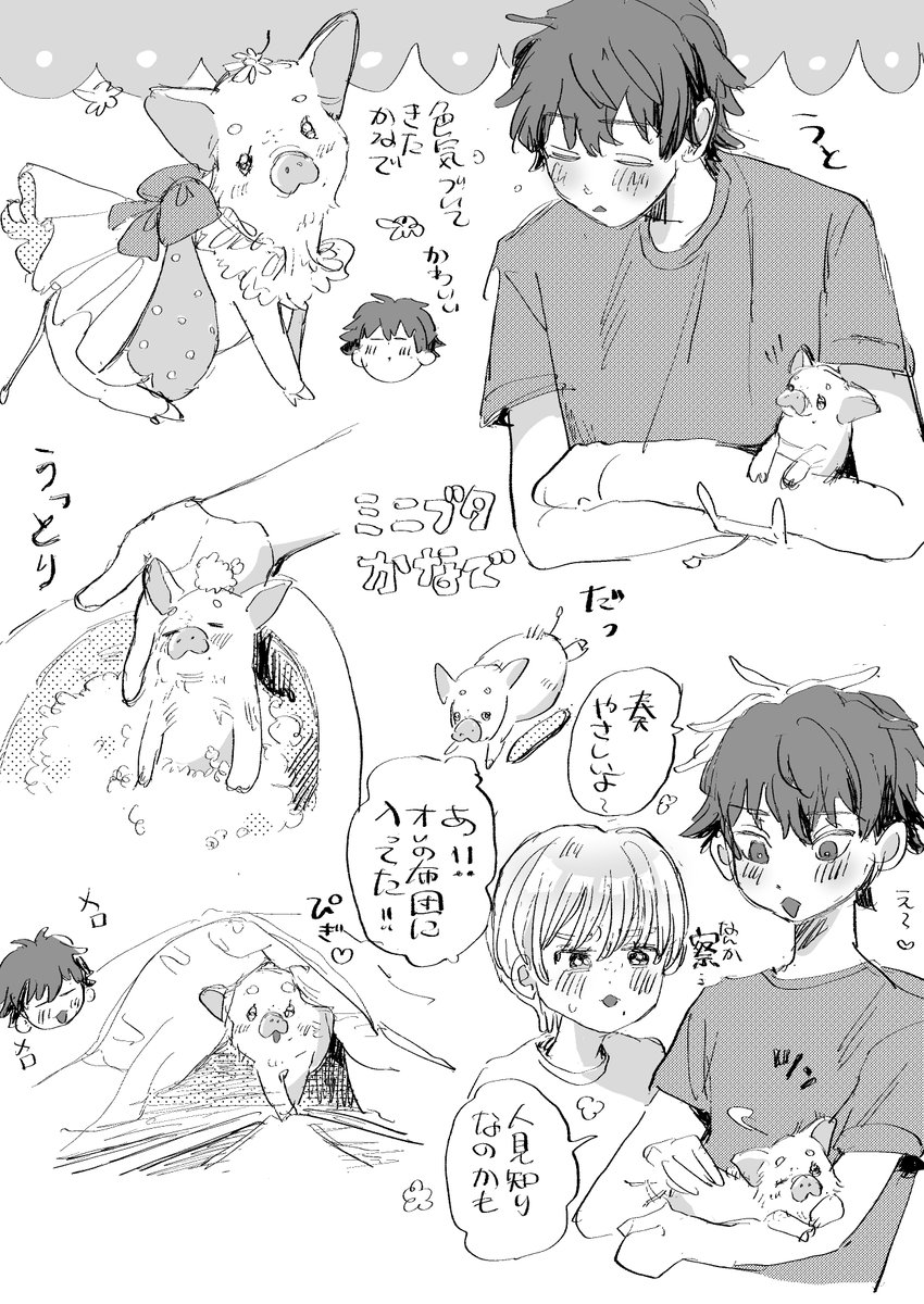 かなでという名前のミニブタ
ともやのことは大好きだけど、だからこそ奏には懐かないわかってるミニブタ 
