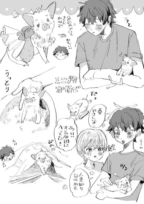 かなでという名前のミニブタ
ともやのことは大好きだけど、だからこそ奏には懐かないわかってるミニブタ 