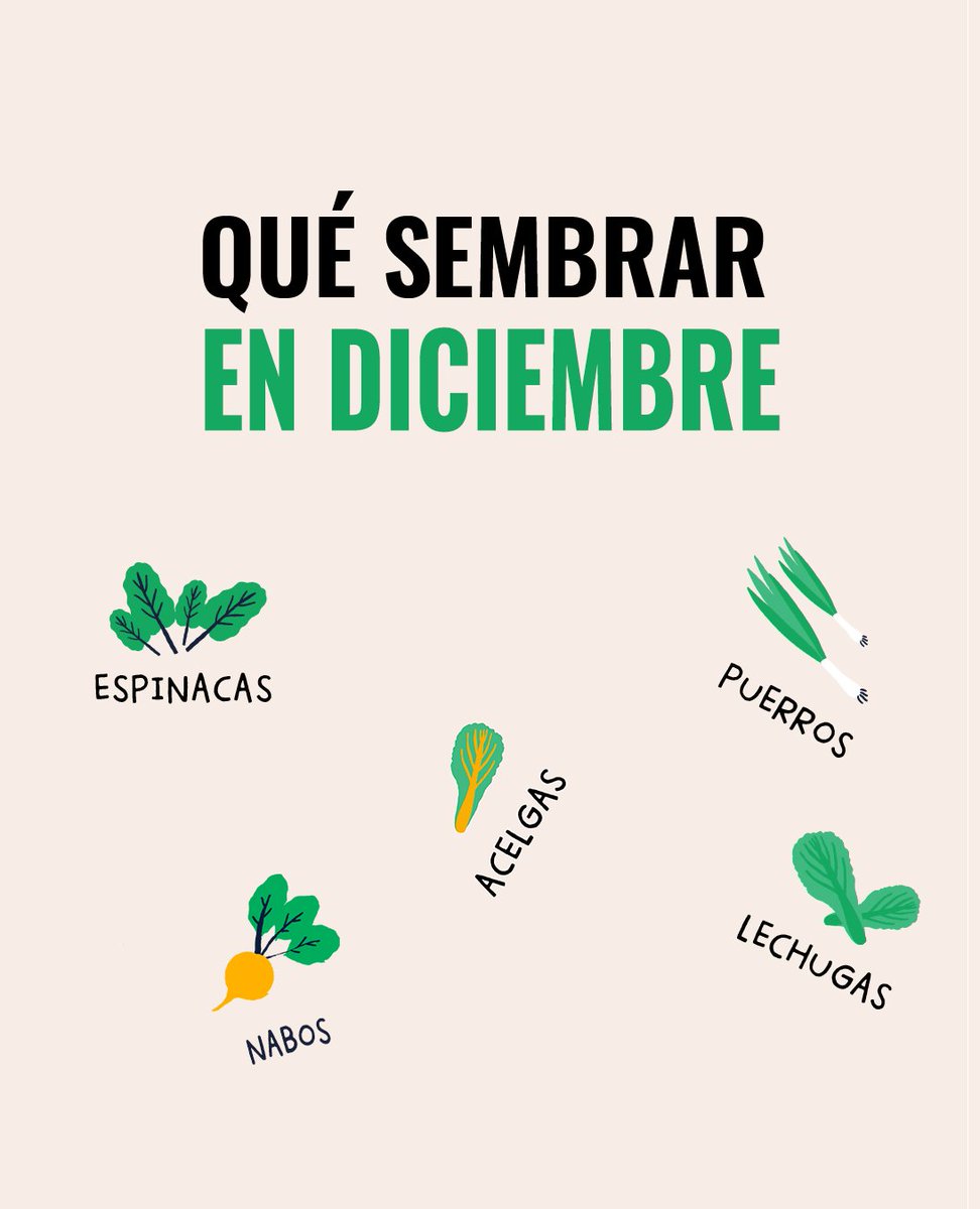 Con la llegada del frio y las bajas temperaturas nuestros cultivos se ven amenazados, pero si eres un apasionado por el huerto que necesita seguir sembrando sus cultivos🌱, este post es para ti.

somosplanetahuerto.com/3F4yf4b