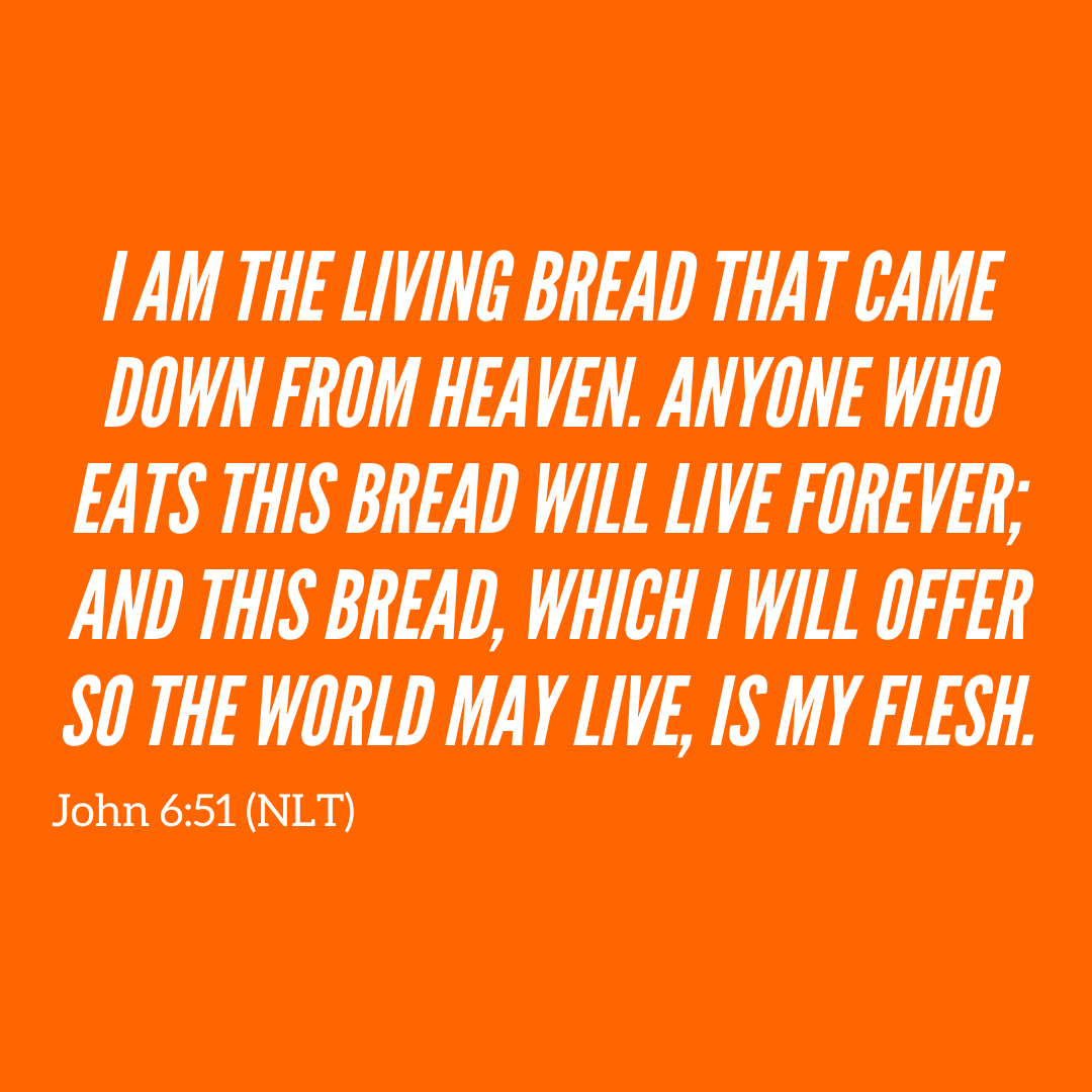 Vineyard N. Phoenix tweet media