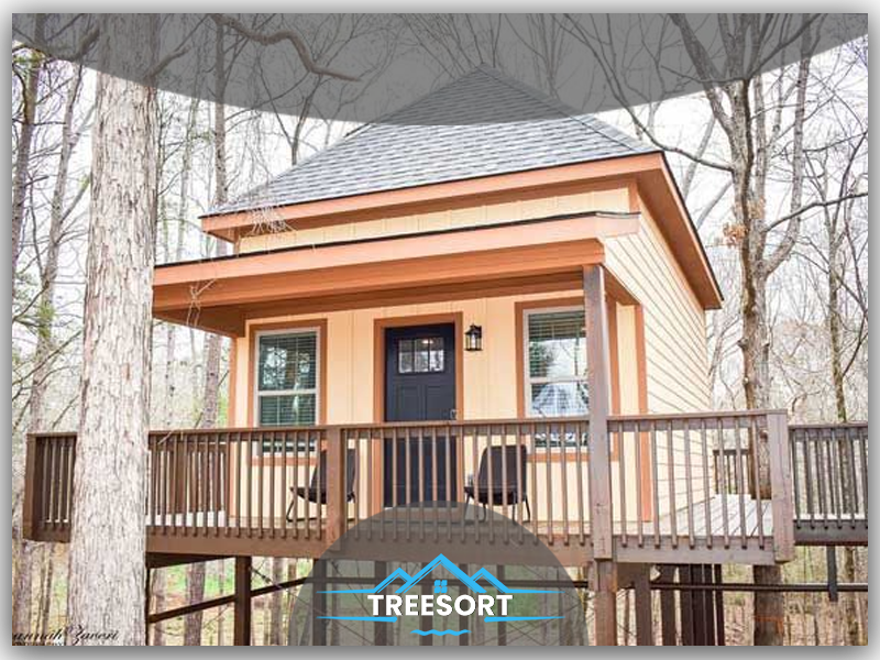 Treehouse Rentals in South Carolina | South Carolina Treehouse - Treesortsc

treesortsc.com

#treehouse #Treesortsc #SouthCarolina #property #vacationrental #SouthCarolinaTreehouse #travel #holiday