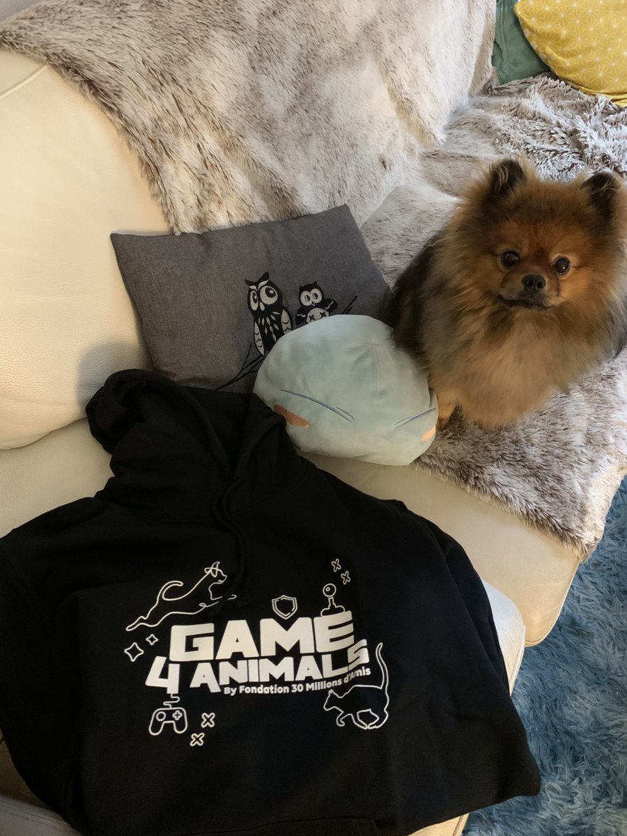 Niaw_wow's tweet photo. Super suprise aujourd'hui !
Livraison super rapide et la qualité est top, vraiment tout doux tout doux !
Merci @30MA_JDC #Game4Animals https://t.co/FunnKHUjoY