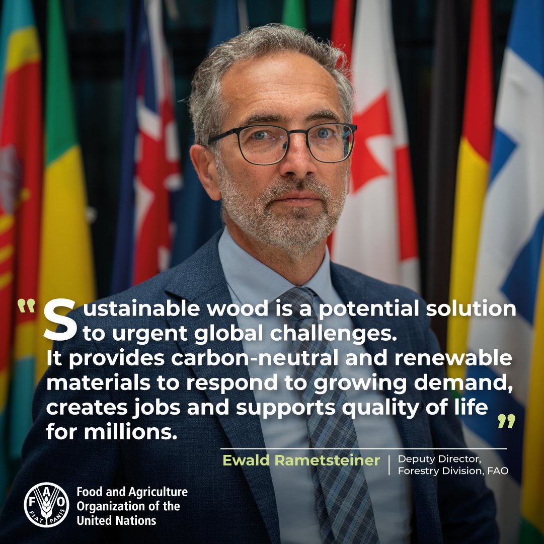 Sustainable wood is a potential solution to urgent global challenges - it provides carbon-neutral &amp; renewable materials for growing demand, creates jobs &amp; supports quality of life for millions, <a href="/FAO/">Food and Agriculture Organization</a>’s Ewald Rametsteiner tells High-level Meeting of European Wood Policy Platform
