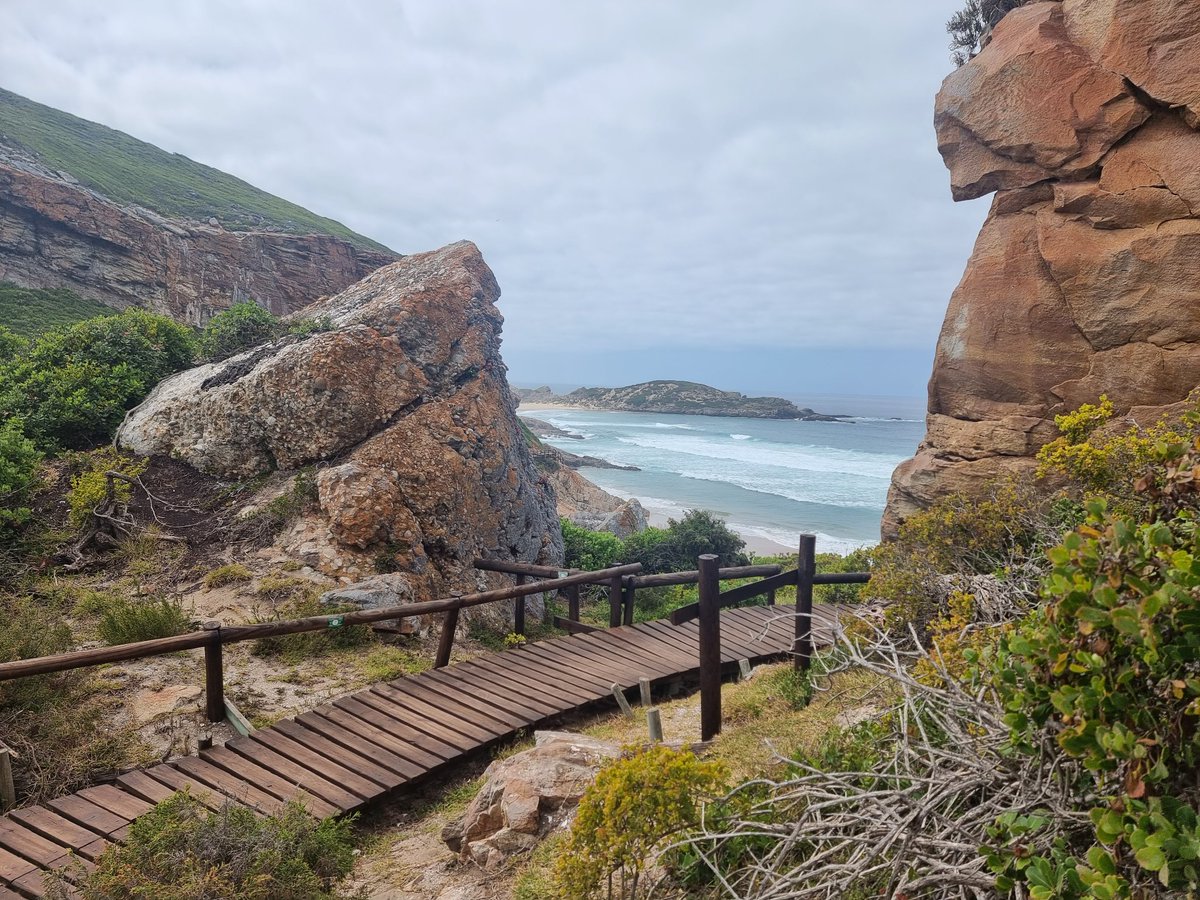 Robberg, Plettenberg Bay is a lot like Point Lobos in Carmel-by-the-sea, California. Both right up there among the best coastal hiking trails in the world.