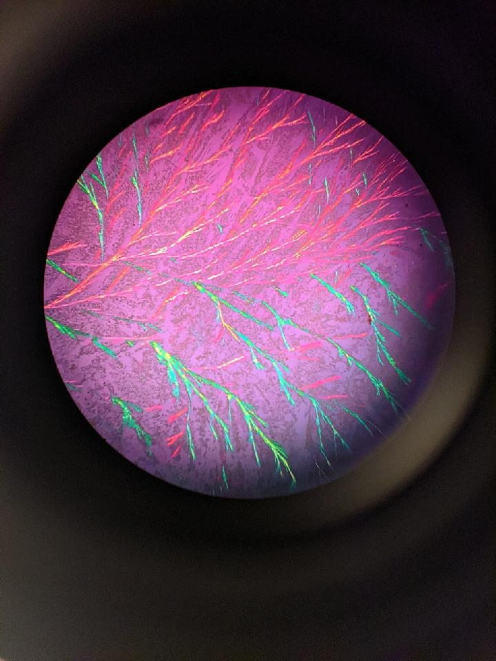 Richard Cole tweet media